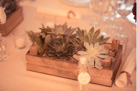 Decoration with succulents for Ravello wedding reception