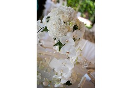 White orchids for wedding banquet in Ravello