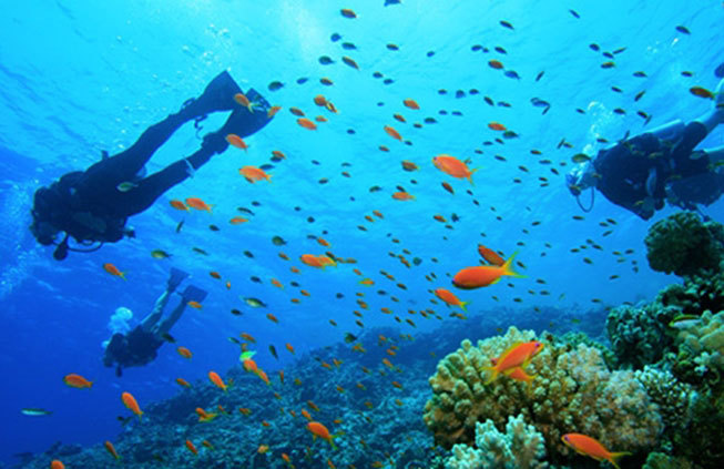 Activities: scuba diving