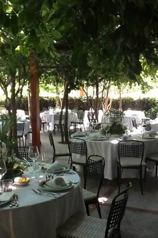 Lemon tree garden for wedding receptions in Capri