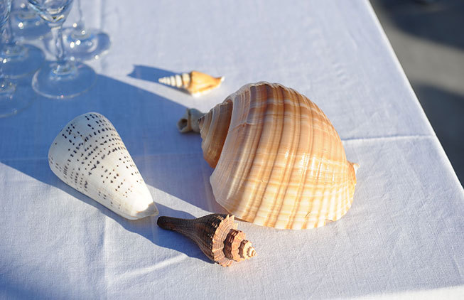 Decoration with seashells for Amalfi Coast wedding